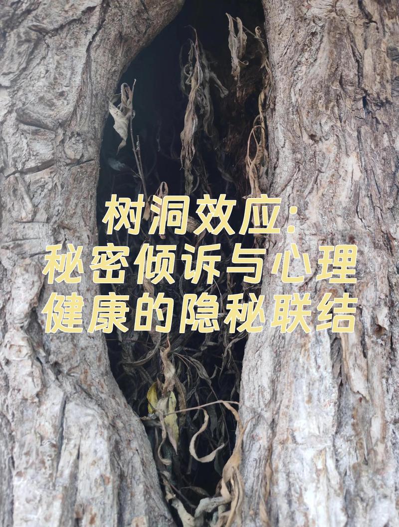 为什么我们需要树洞?——心理学上的秘密