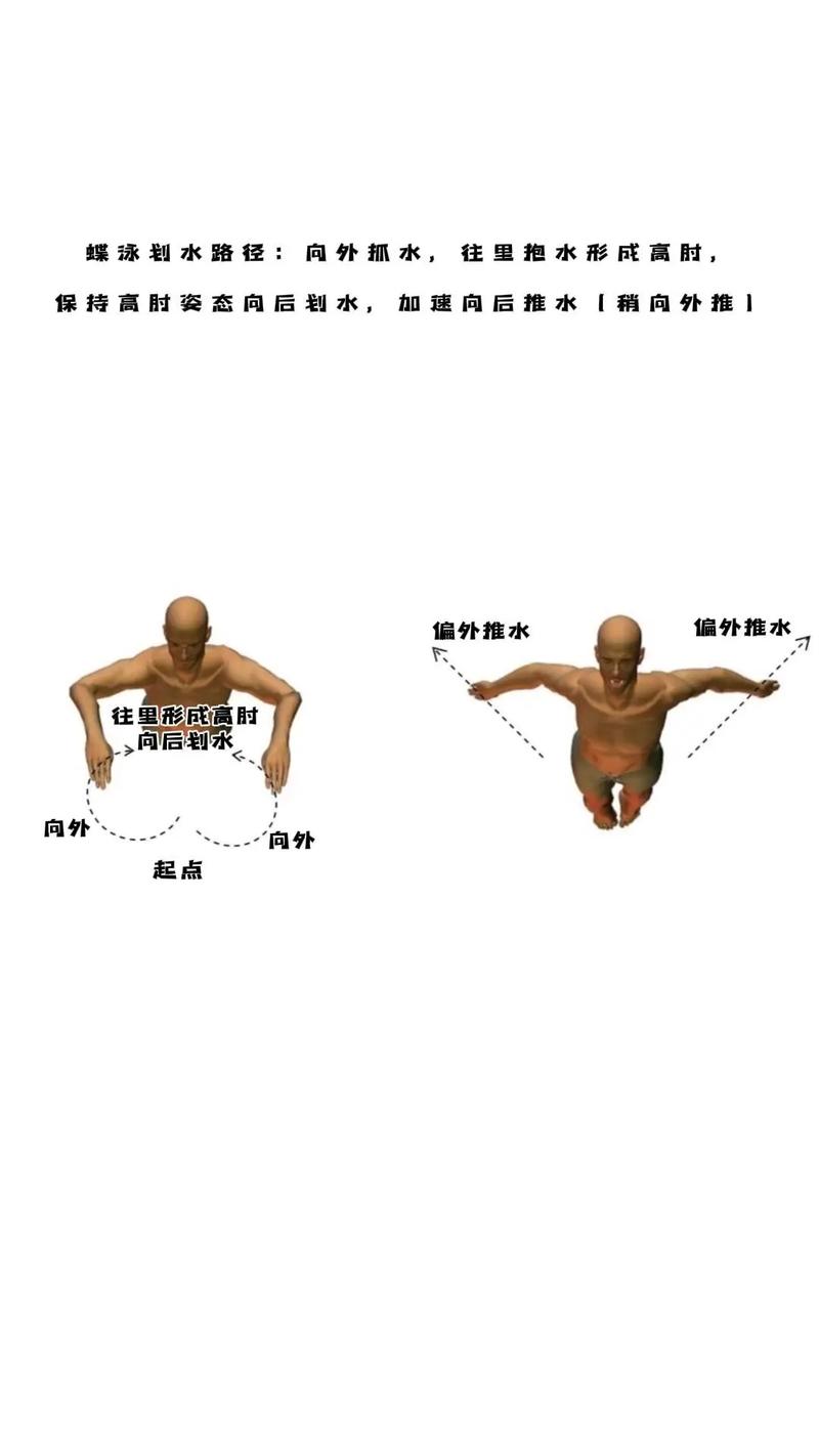 自由泳高肘抱水推水路线图
