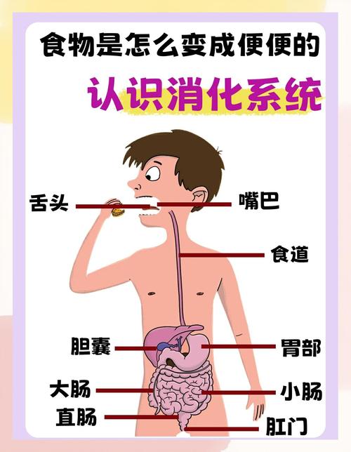 现在的娃,消化系统真的比我们小时候难多了