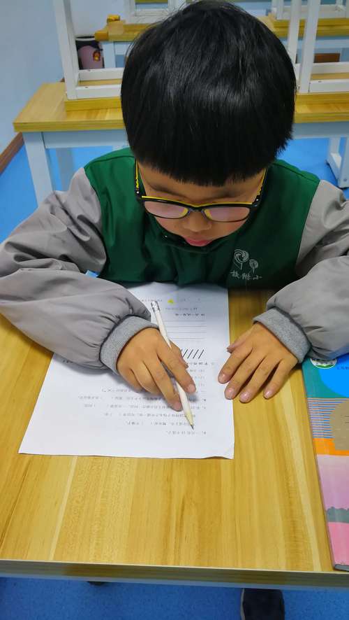 小学生坐在书桌前对着错题讲思路