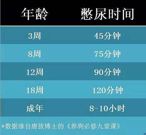 成年狗狗憋尿时长与月龄对应参考表