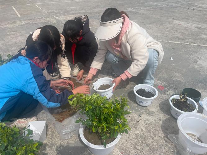 小学种植社团学生观察植物