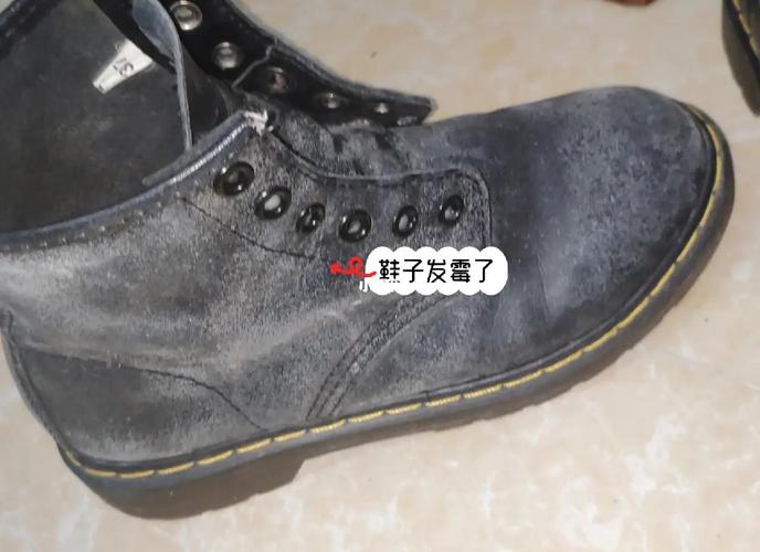 塞满厨房卷纸吸潮的雨天湿皮鞋