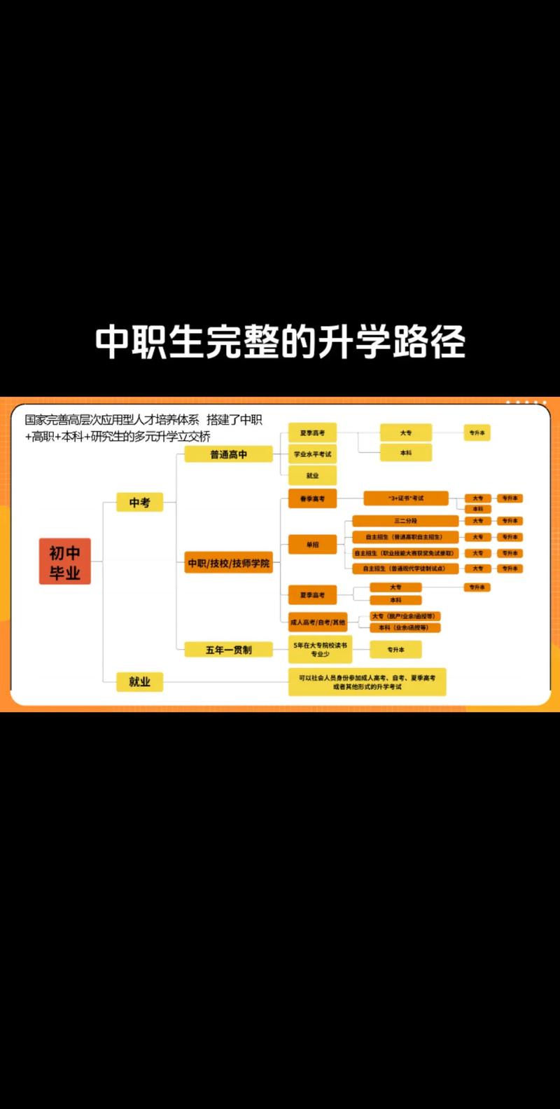2024中国职校生升学路径流程图
