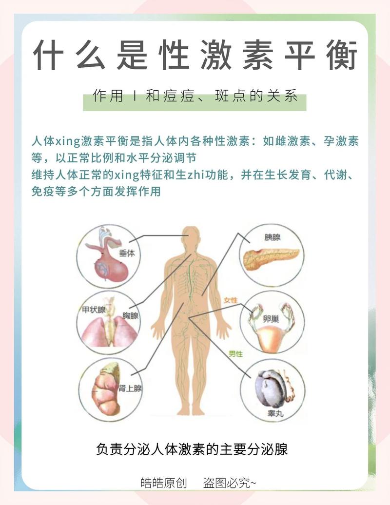 产后女性激素变化对皮肤影响示意图