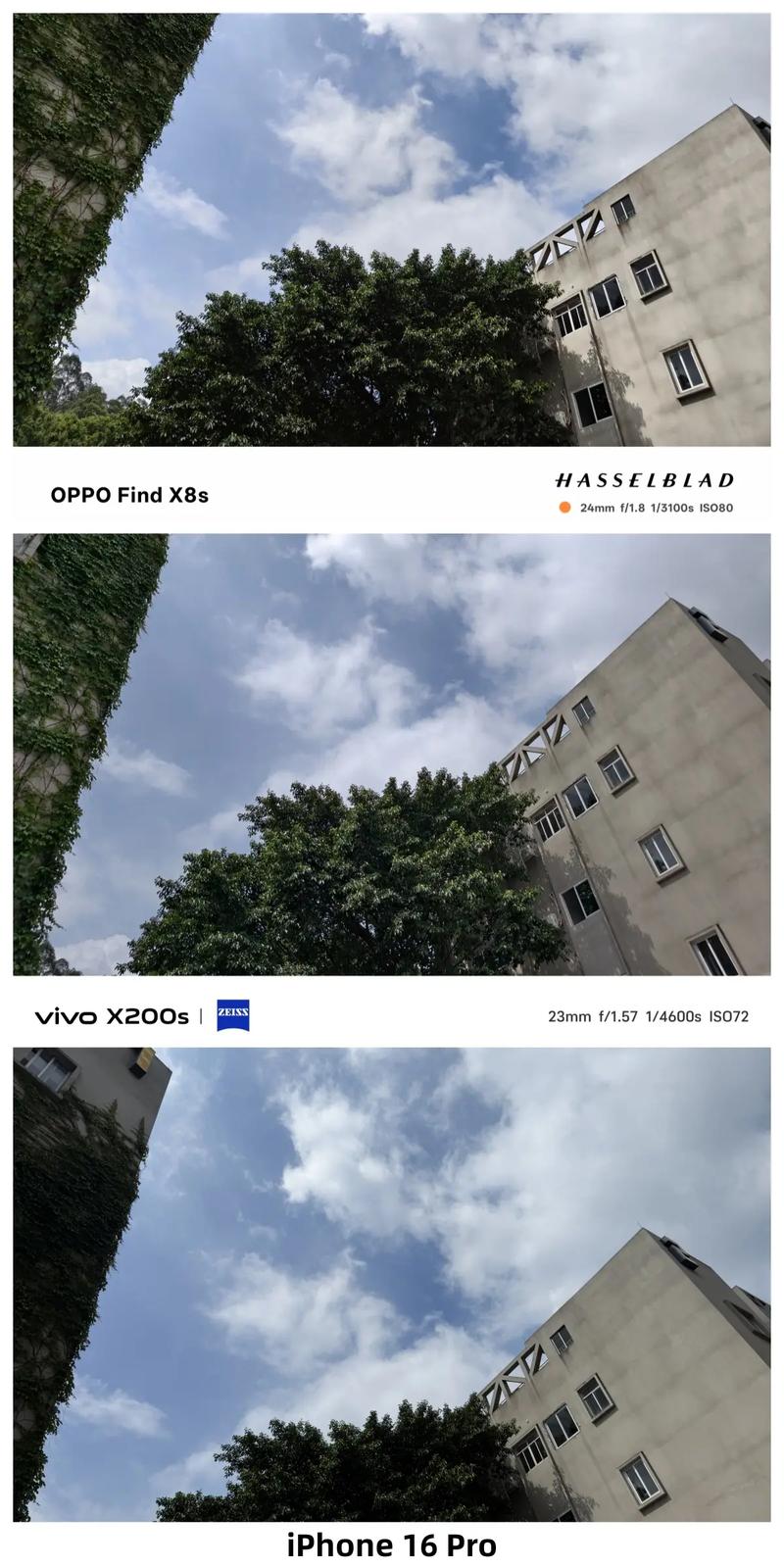 手机HDR过度导致照片发灰对比图
