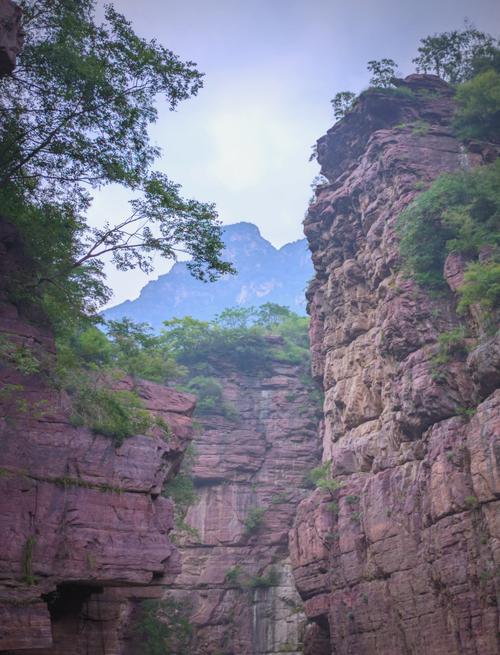 峡谷深处,有人住吗?当然有,而且活得很硬