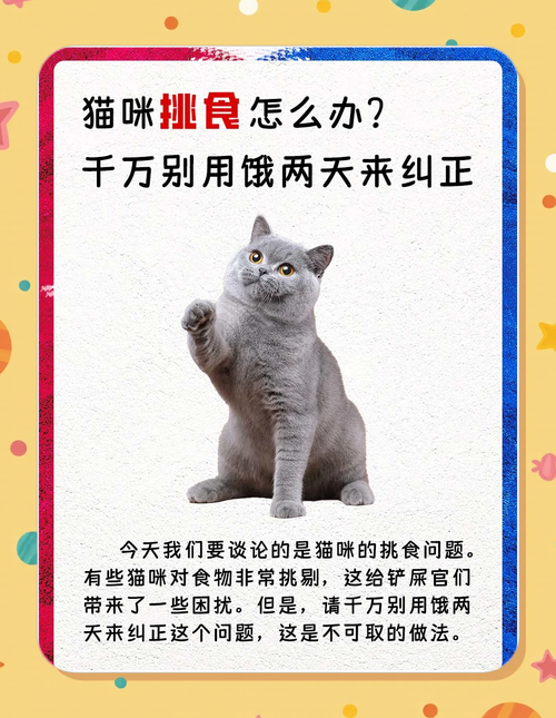 改挑食别瞎饿猫，做好这三步就够