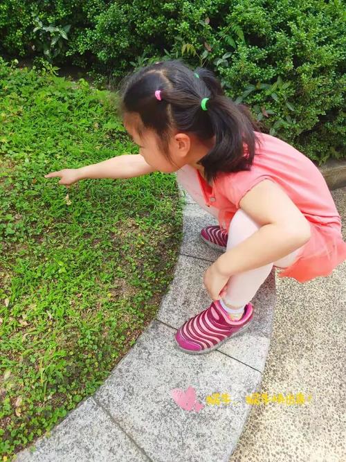 小学操场花坛孩子蹲看蜗牛实拍