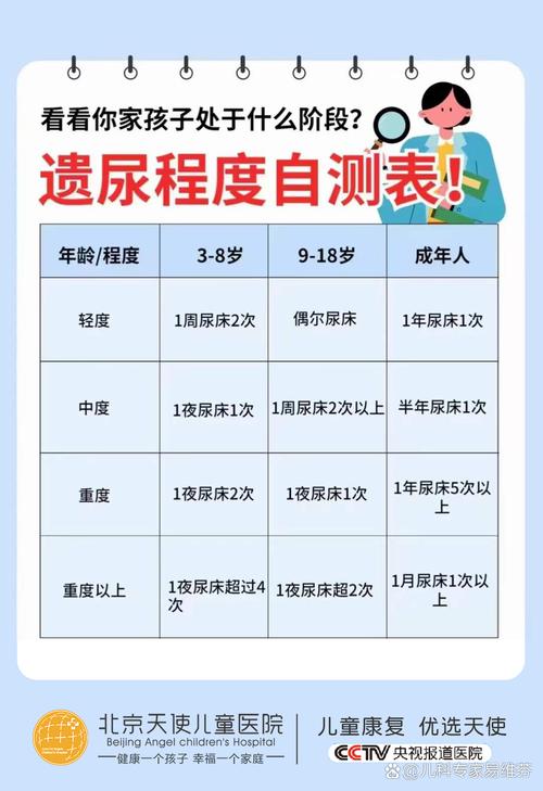 婴幼儿泌尿系统发育结构对比图