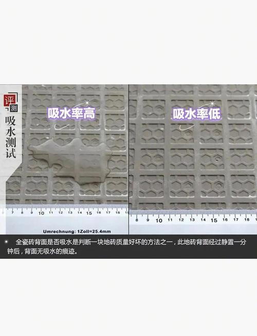 瓷砖选购吸水率测试对比