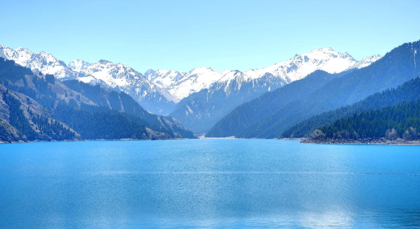 新疆天山天池岸边云杉林临湖步道