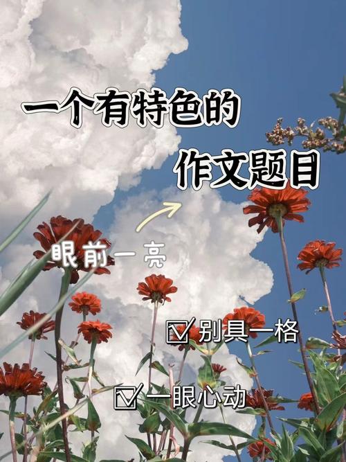 几家让我眼前一亮的
