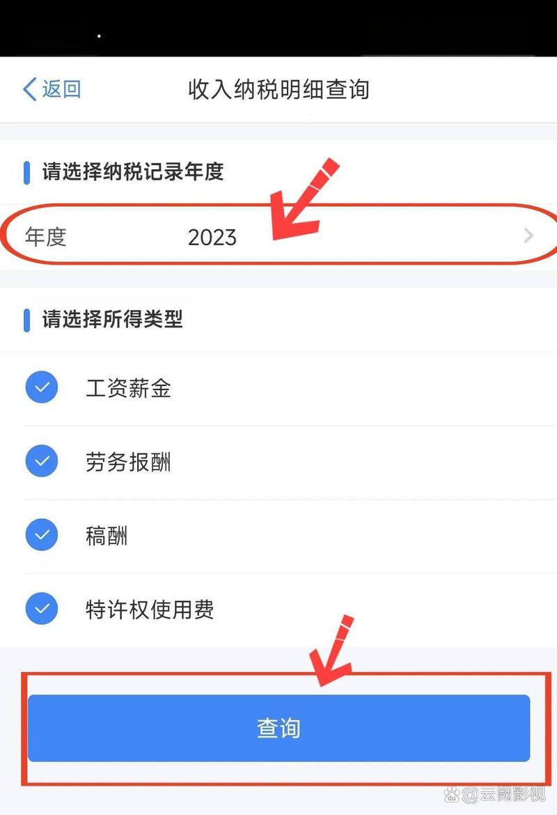 个人所得税APP年度总收入查询截图