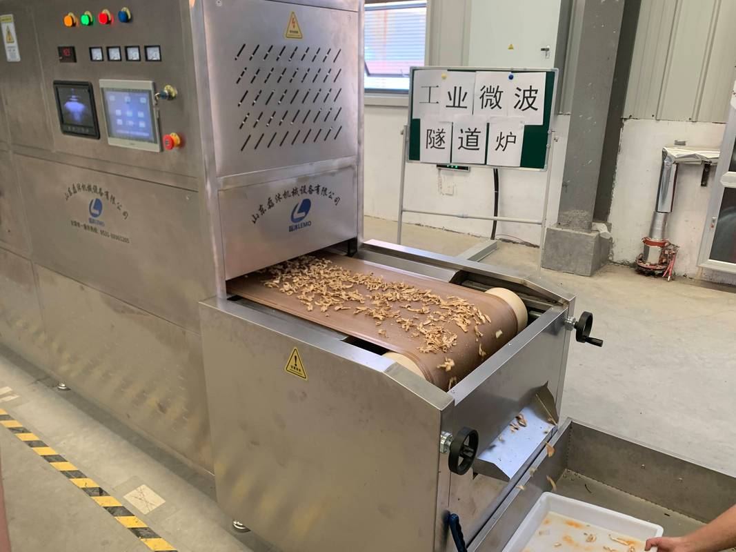 中药饮片带式烘干流水线车间
