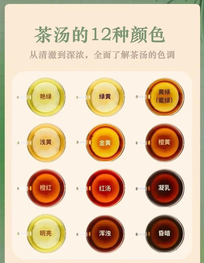 专业奶茶测评师对比茶汤颜色