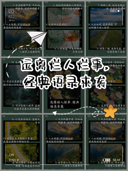 找一群“能接住你烂球”的人