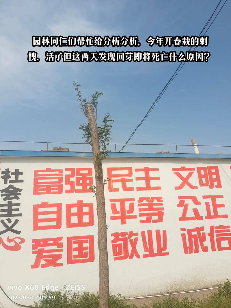 国家线不是一条线，是一面镜子