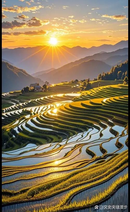 松阳梯田日落