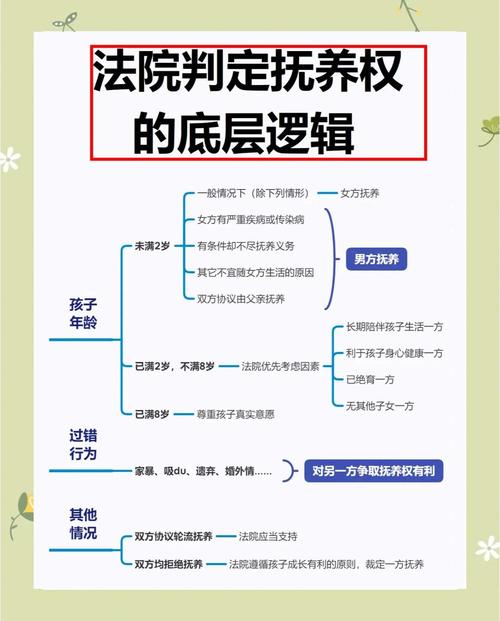 离婚子女抚养权法院判决参考流程图