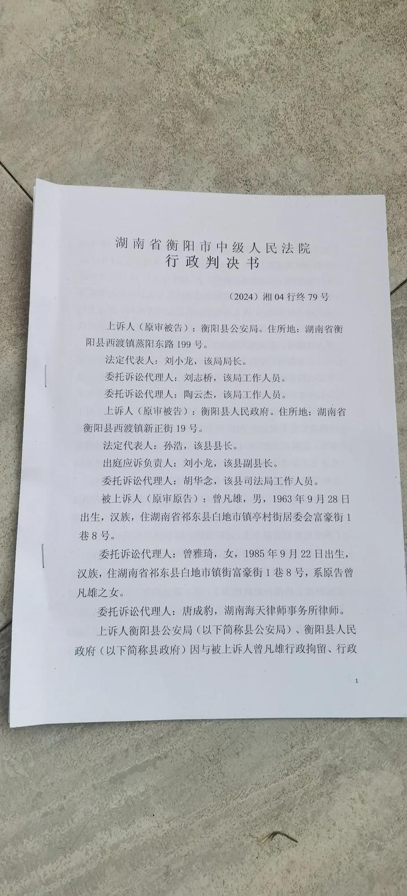 判决后的世界：上诉、再审与执行