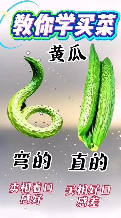 二、选型不是买白菜,这几个坑我替你踩过