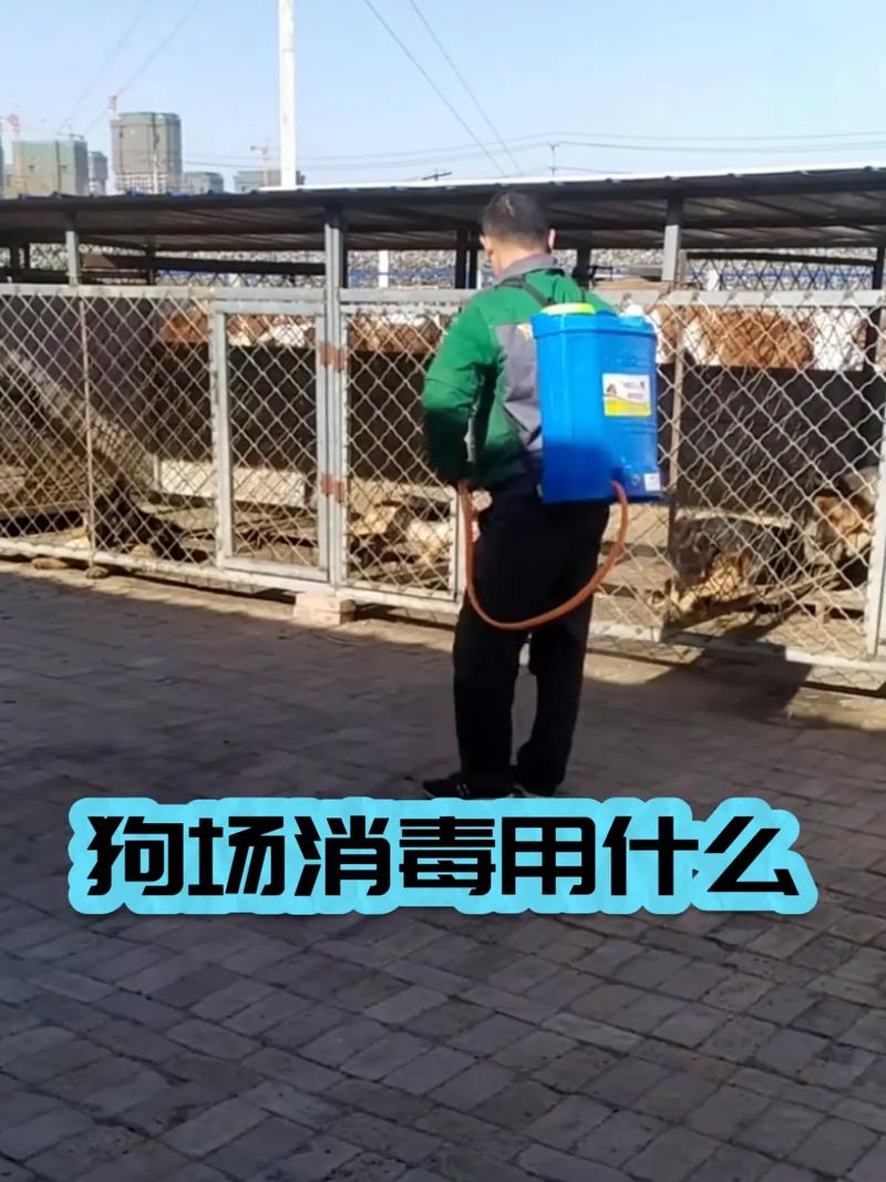 家庭养宠地面消毒预防犬细小场景