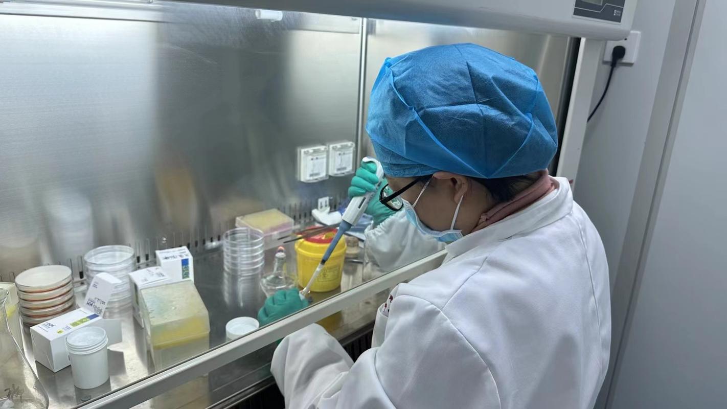 实验室CRISPR基因编辑操作超净台实拍