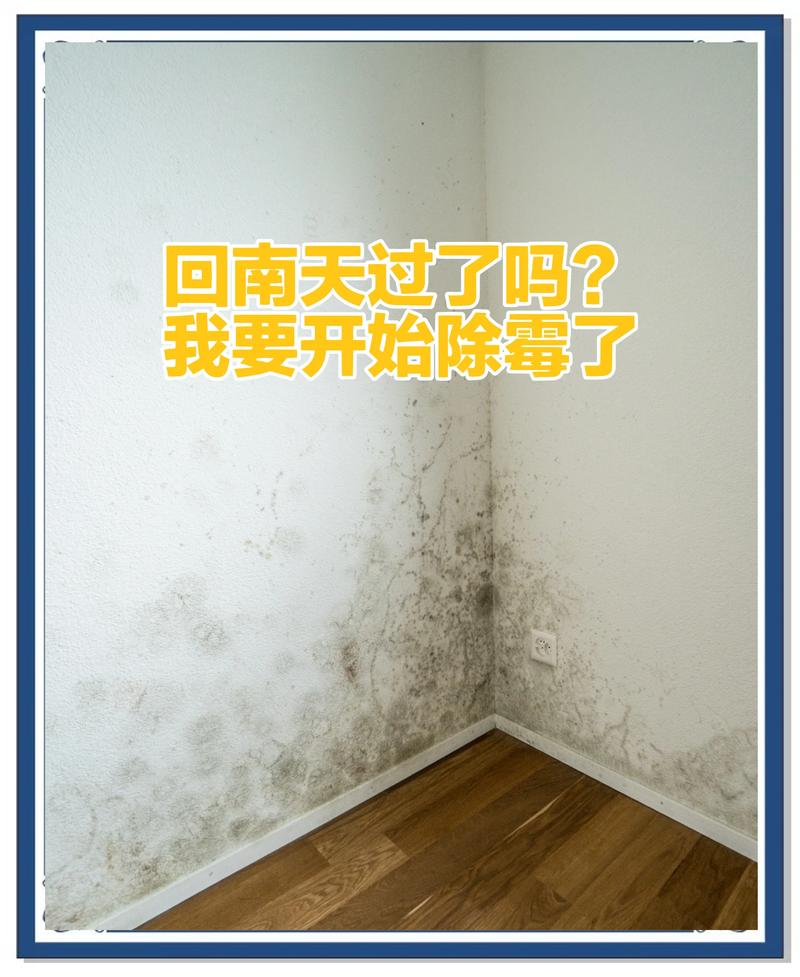 三、入住后的真相：清洁、防潮那些事
