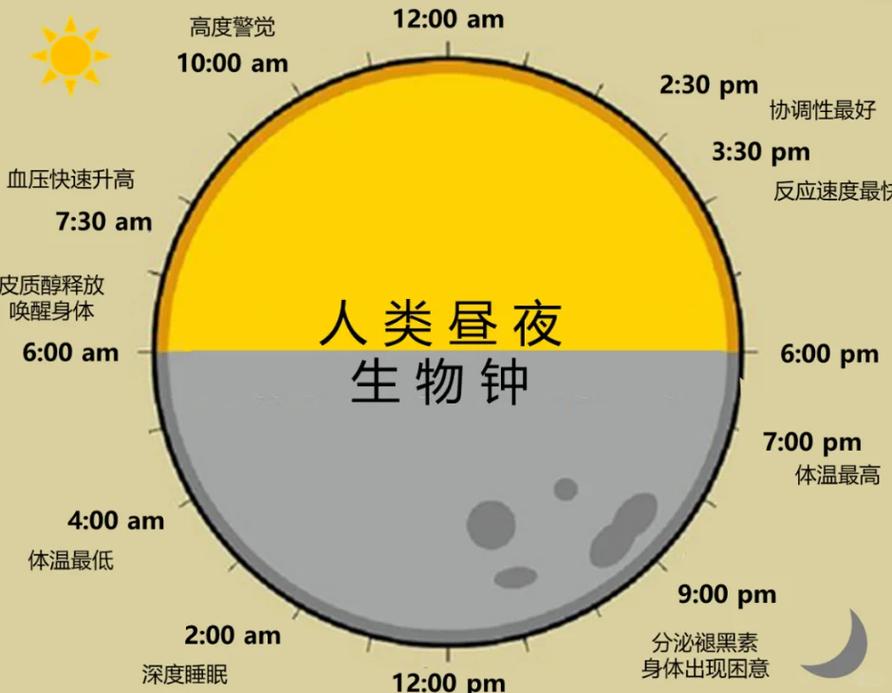 混乱的生物钟概念图，时钟指针扭曲，昼夜颠倒