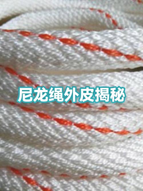 显微镜下尼龙绳索内部纤维断裂磨损图