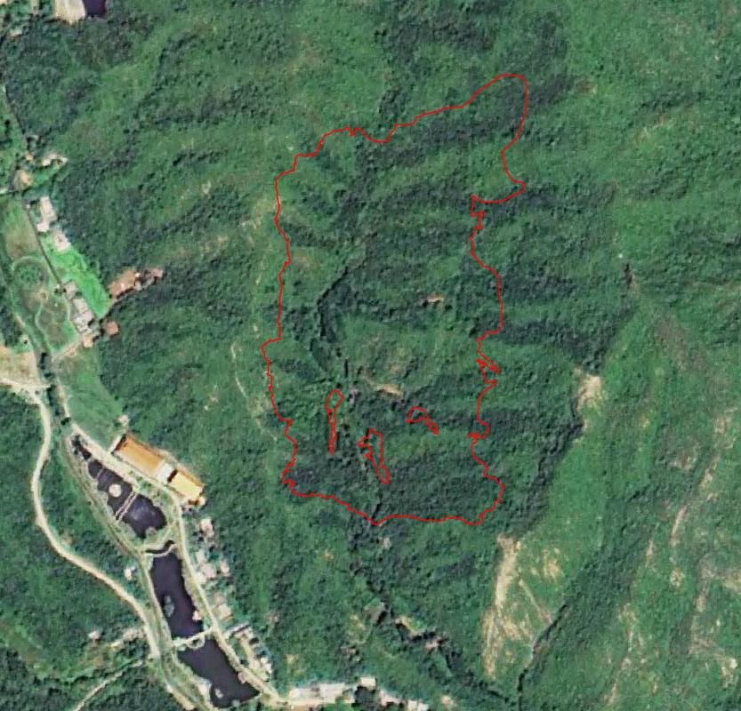 农村林地纠纷争议现场打印卫星截图