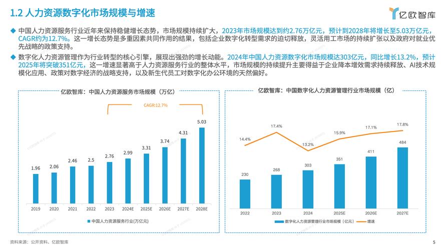 2025中国人力资源外包行业市场分布饼图