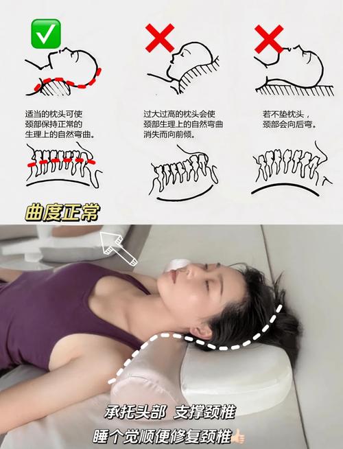 不同软硬度枕头颈部支撑对比图