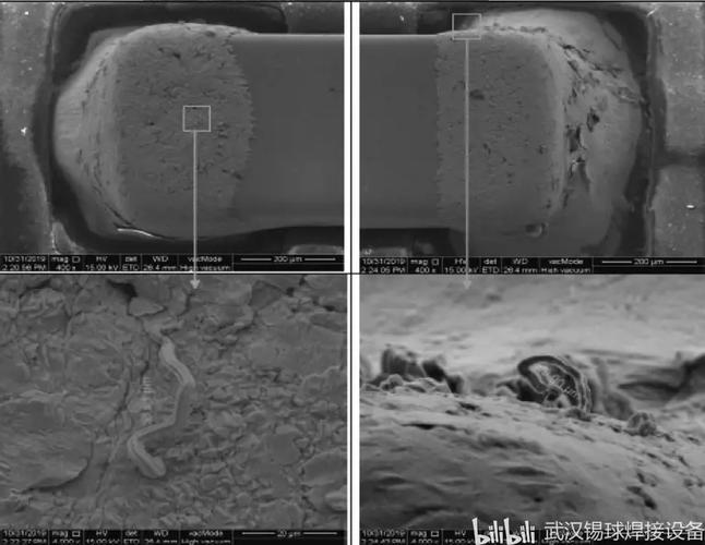 电子焊点表面锡晶须显微镜照片