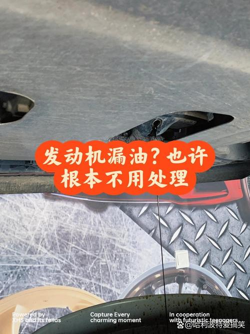 哪些漏油根本不用修?别被坑了还帮人数钱