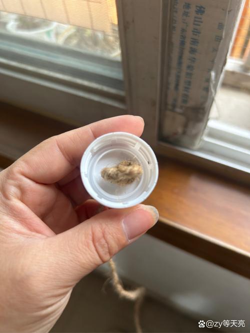 三个拿起来就能用的法子
