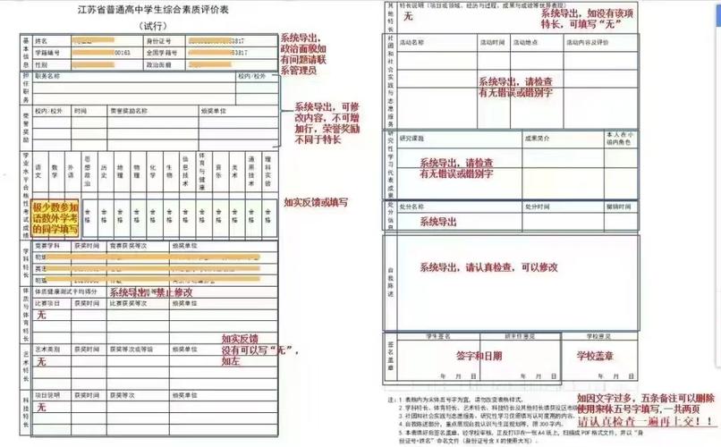 档案的真相：不是“评优表”，而是“成长地图”