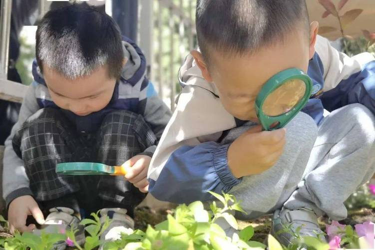几个小学生在户外自然中用手放大镜观察植物，表情专注