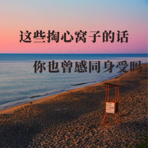 最后想说几句掏心窝的