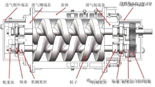 单螺杆泵内部转子定子结构剖面图