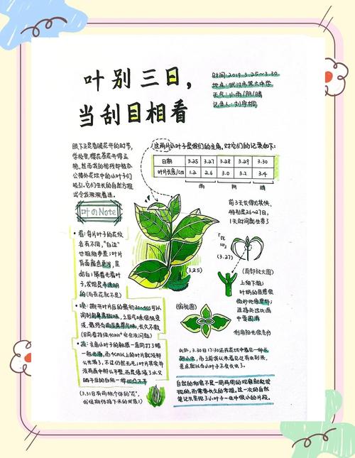 初中语文课堂学生观察记录大自然物候手写笔记