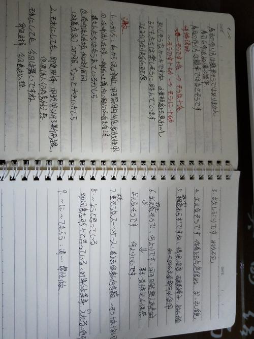空降管理者90天观察期手写工作笔记实拍