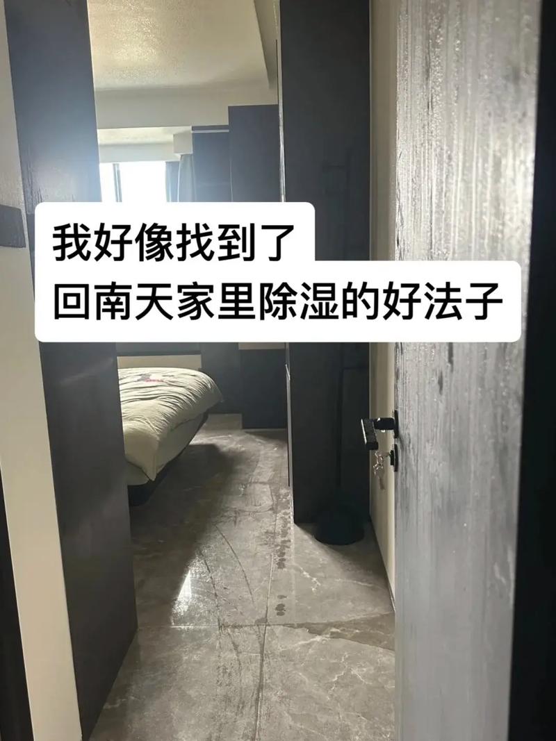 沿海的潮,和内陆回南天根本不是一回事