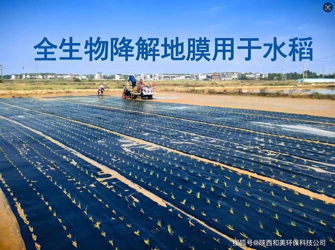 聚乳酸地膜在农田土壤中的降解对比实验