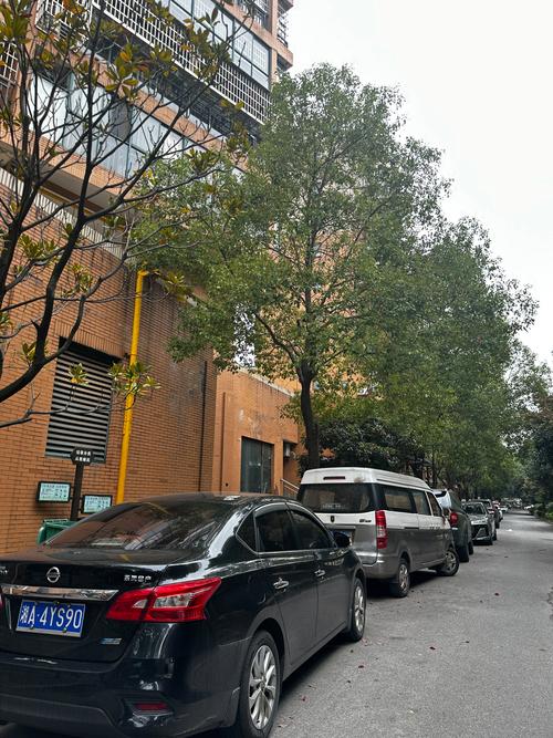 小区消防通道被私家车占用实拍图