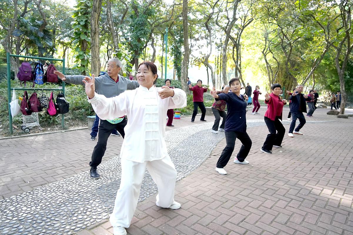 城市公园中老年晨间晨练人群场景图