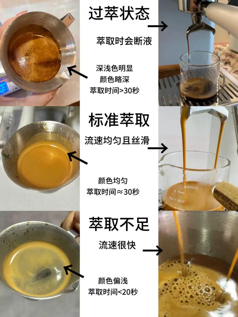 手冲咖啡水流大小导致萃取差异对比图