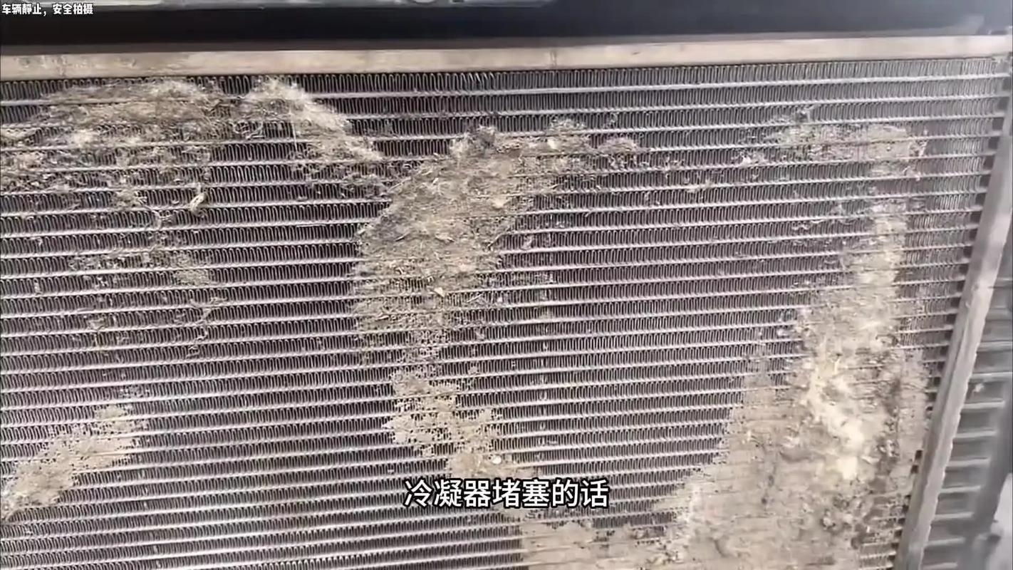 被杨絮飞虫堵塞的汽车冷凝器实拍