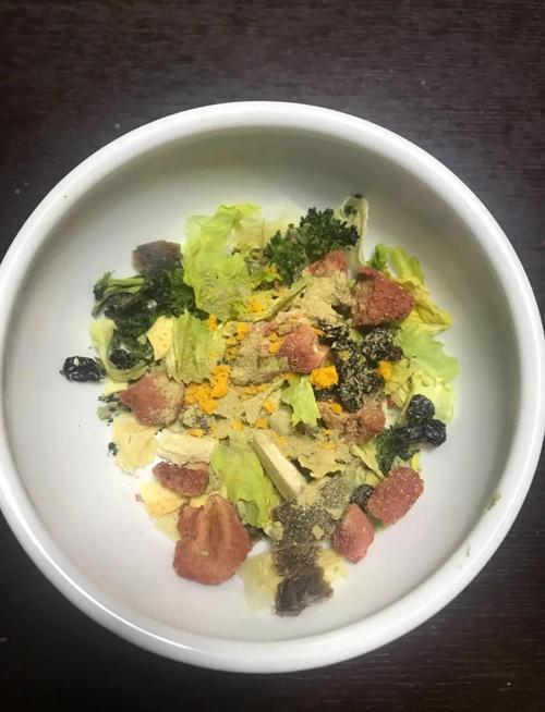 自制低脂肪犬胰腺炎餐食摆放